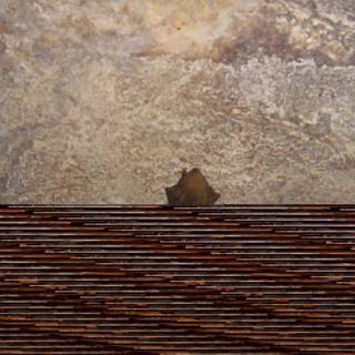 Brown Bat Roosting on Wooden Wall