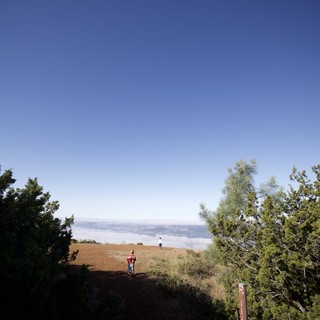 mount-diablo-state-park-contra-costa-county-california-usa-juniper-canyon-trail