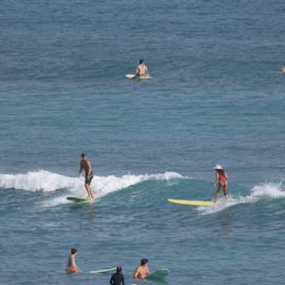 Surf's Up: A Day at the Hawaiian Beach