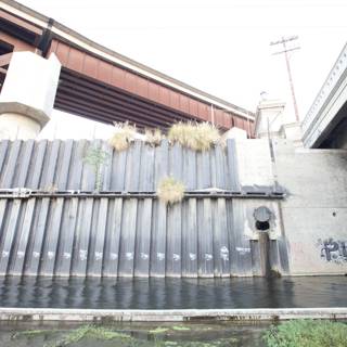 Graffiti on LA Canal Bridge