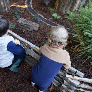 Enchanted Explorers: A Woodland Adventure