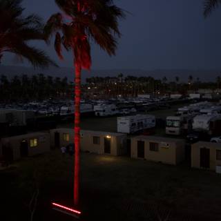Red Light on Palm Tree at Coachella Campground
