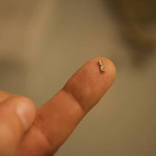 Tiny Screw in Finger