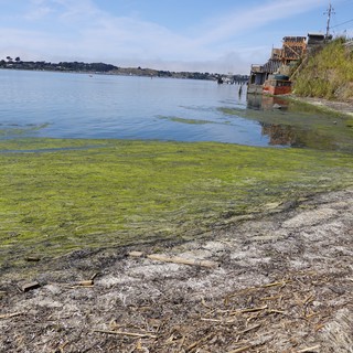 coastal bay