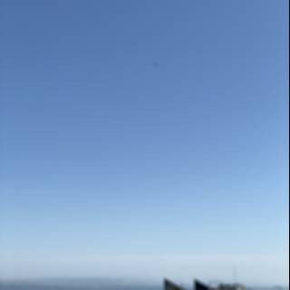 Soaring Kite above the San Francisco Skyline