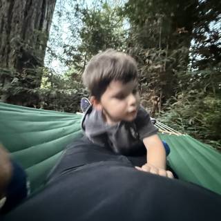 Forest Playfulness