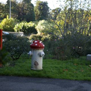 Guardian of the Road: The Red and White Hydrant
