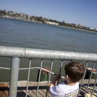 Curious Eyes on the Waterfront
