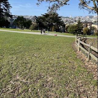 A Serene Afternoon in Alamo Square