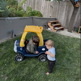 Backyard Adventures
