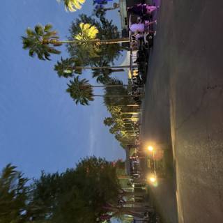 Twilight Stroll at Empire Polo Club