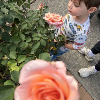 A Moment of Wonder