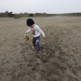 Young Explorer Carries Bucket Across Misty Beach