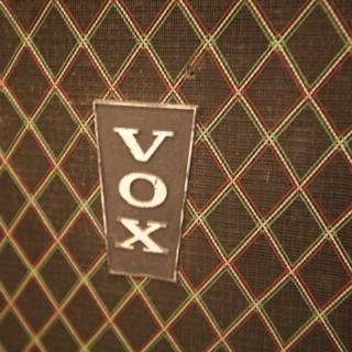 The Vox Logo Symbolizing a Piece of Music History