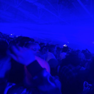 Electric Blue Night: Concert Crowd in Motion