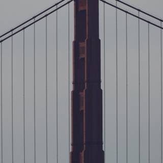 Soaring over the Golden Gate