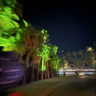 Night Lights of Indio