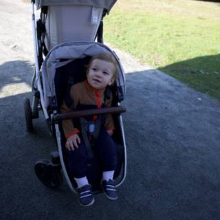 Afternoon Stroll at Thistlewyck
