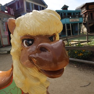 Colorful Camel Carousel Figure at Popeye Village