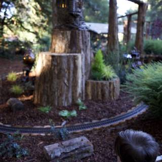 Enchanted Exploration at Thistlewyck