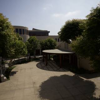 Tranquility in the Temple Brawerman School Courtyard