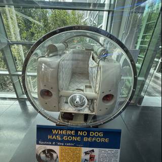 Canine Cosmonaut Capsule