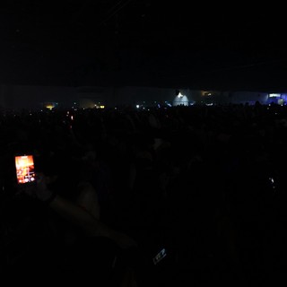 Sea of Shadows: Wobbleland Festival Crowd at Night
