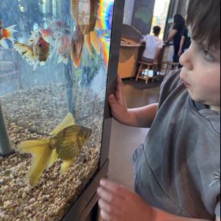 Wonder at the Aquarium