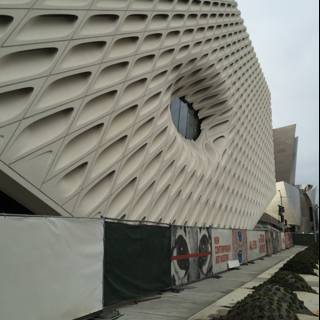 The Broad Museum of Art in Los Angeles