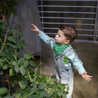 Young Discoverer in the Verdant World