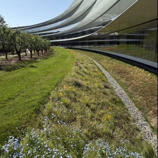 Harmony in Architecture and Nature