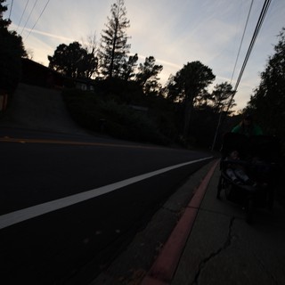 Dusk Road with Power Lines and Silhouetted Trees