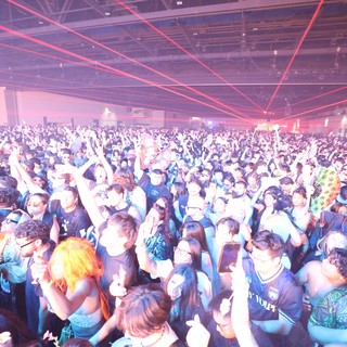 Massive Crowd Surges at Wobbleland 2026 Rave