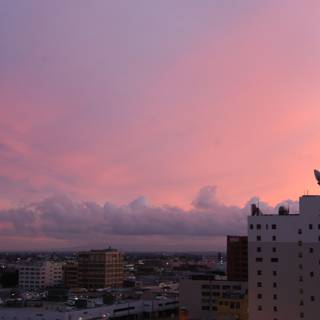 Pink Skies over the Metropolis