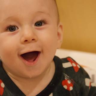 Pure Joy