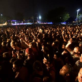 Electric Night: The Concert Crowd Comes Alive