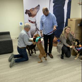 Dogs in the Office