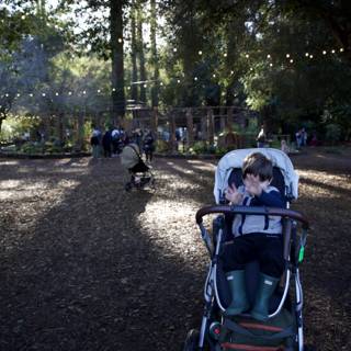Woodland Wonder at Thistlewyck