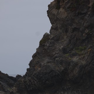 Rugged Coastal Cliffs Draped in Sea Thrift Blooms