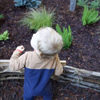 Curious Moments in the Garden