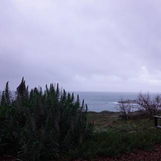 A Scenic View of the Pacific Ocean from Jenner Hillside