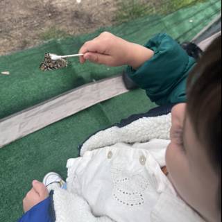 Nature's Gentle Touch