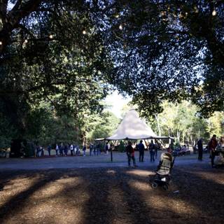 Autumn Gathering Under the Trees