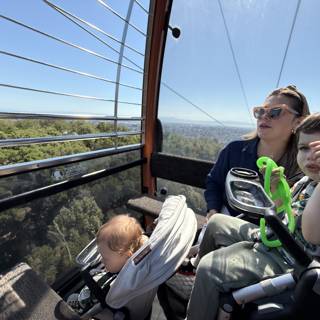 Soaring Above the Oakland Zoo