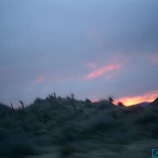 Blurry Sunset Drive