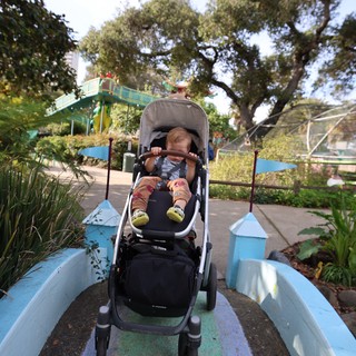 Child in Stroller on Whimsical Garden Bridge Path