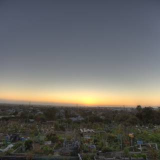 Rooftop Garden Sunset