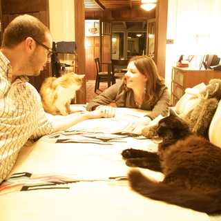 Couple Relaxing with Cats on Cozy Bedroom Bed