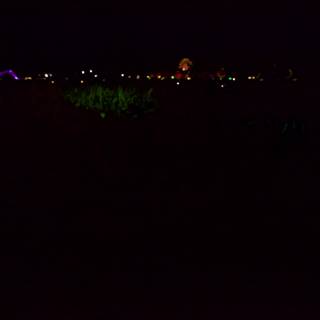 Illuminated Oasis