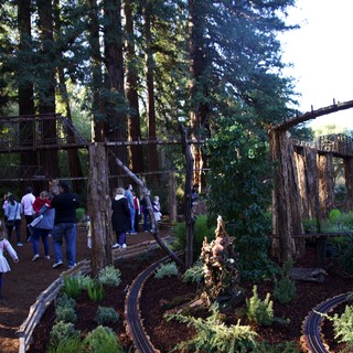 Northern California botanical garden or arboretum